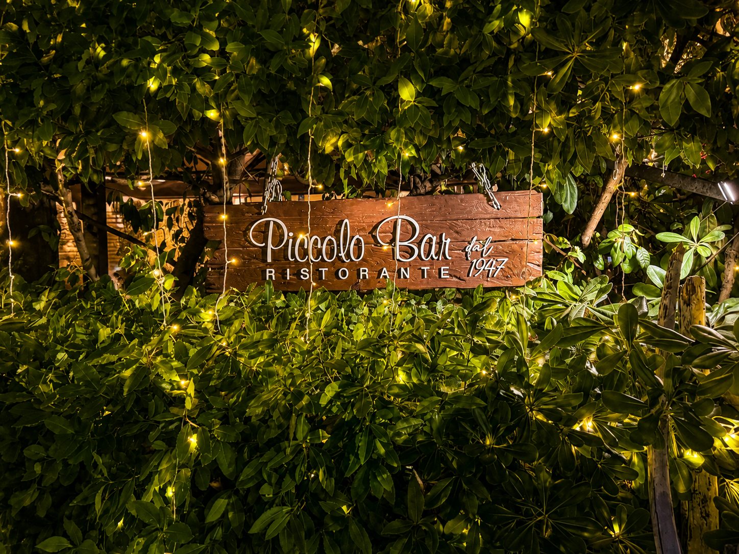 Il giardino del ristorante al chiaro di luna