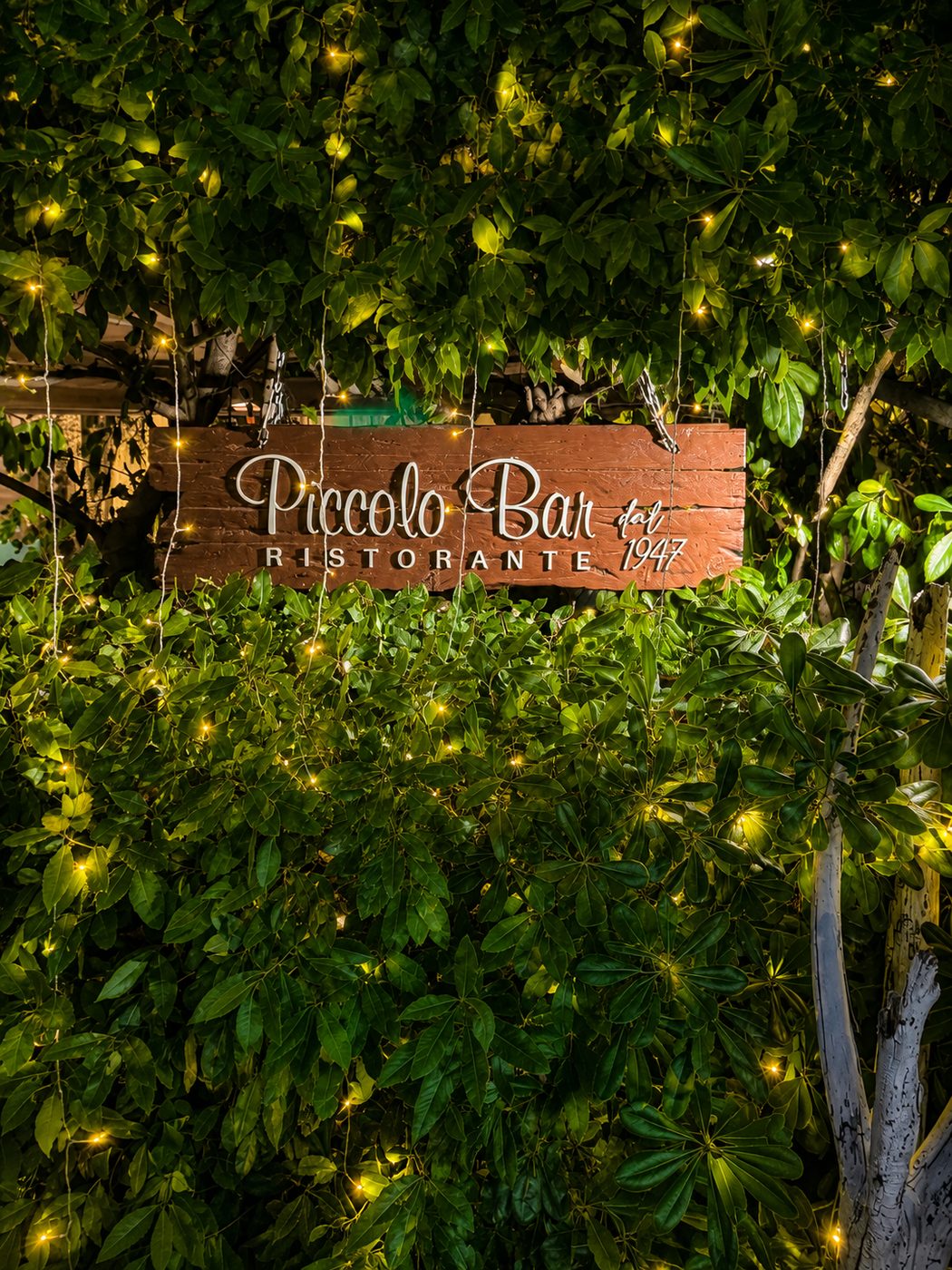 L'insegna in legno Piccolo Bar dal 1947 tra le foglie